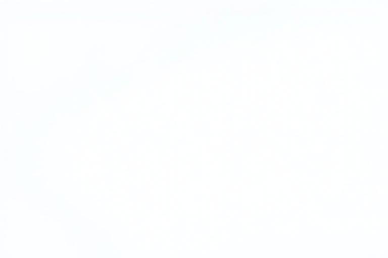Screenshot or illustration of the SaaS platform interface