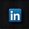 LinkedIn icon